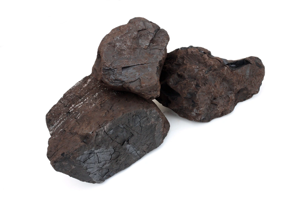 Lignite (Brown Coal)