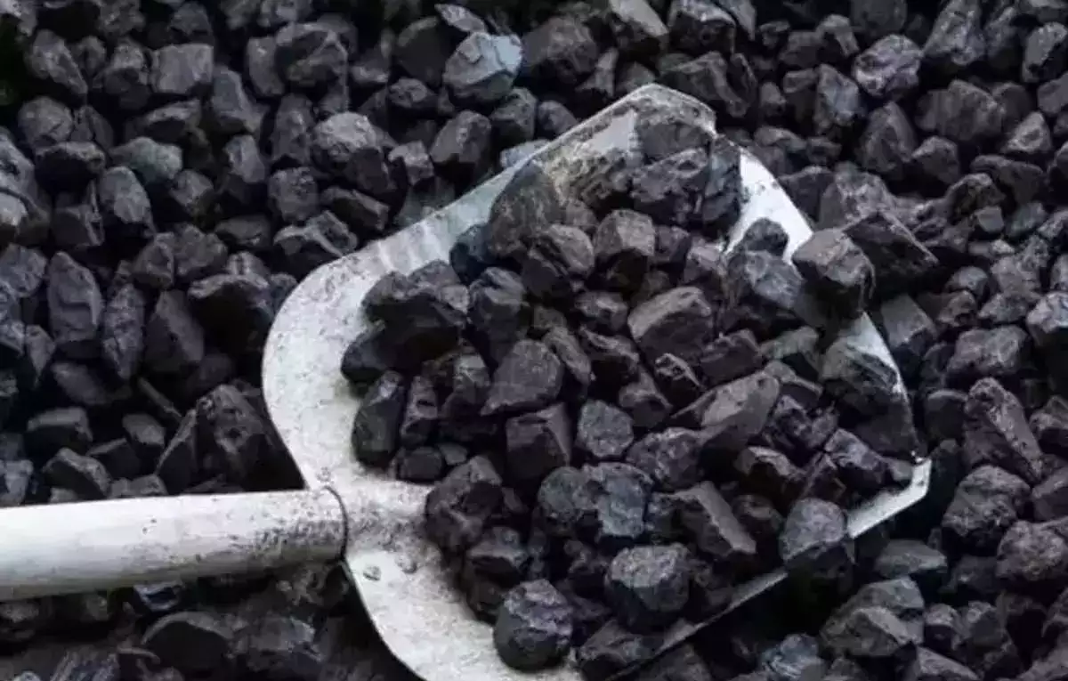 What is Inside the Black Gold